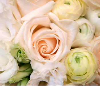 Цветы и растения - 117 | Wall-Style