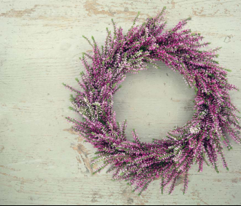 Цветы и растения - 12 | Wall-Style