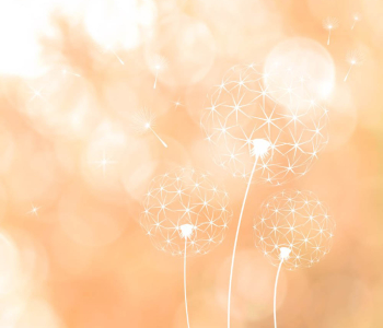 Цветы и растения - 35 | Wall-Style