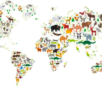 Карты - 223 | Wall-Style