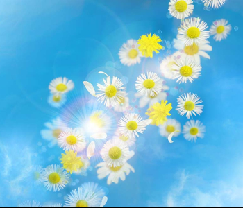 Цветы и растения - 89 | Wall-Style