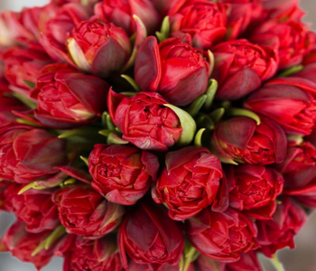 Цветы и растения - 60 | Wall-Style