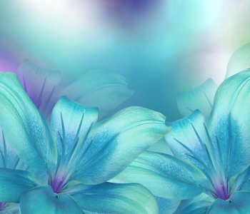 Цветы и растения - 28 | Wall-Style