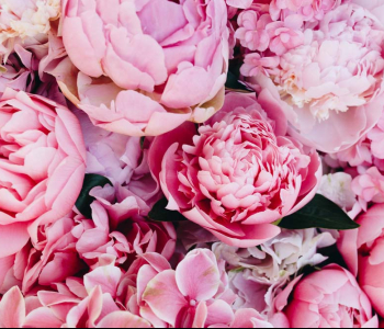 Цветы и растения - 22 | Wall-Style