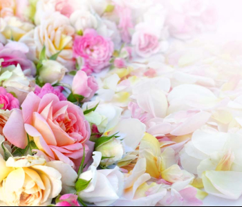 Цветы и растения - 204 | Wall-Style