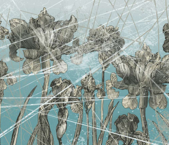 Цветы и растения - 1 | Wall-Style