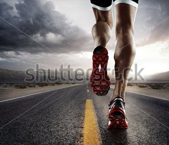 Спорт - 56 | Wall-Style