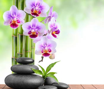 Цветы и растения - 197 | Wall-Style