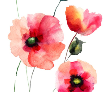 Цветы и растения - 39 | Wall-Style