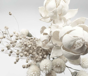 Цветы и растения - 37 | Wall-Style