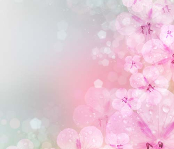 Цветы и растения - 125 | Wall-Style