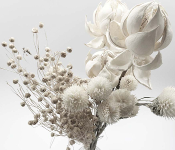 Цветы и растения - 24 | Wall-Style