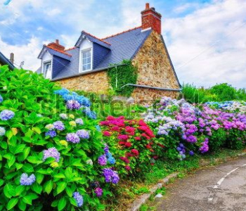 Старый город - 117 | Wall-Style