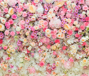 Цветы и растения - 194 | Wall-Style