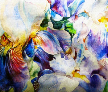 Цветы и растения - 10 | Wall-Style