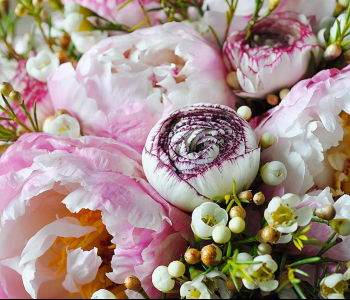 Цветы и растения - 9 | Wall-Style