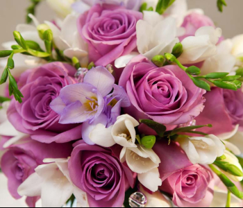 Цветы и растения - 87 | Wall-Style