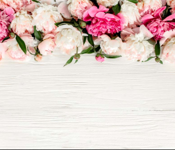 Цветы и растения - 29 | Wall-Style