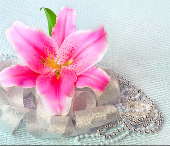 Цветы и растения - 72 | Wall-Style