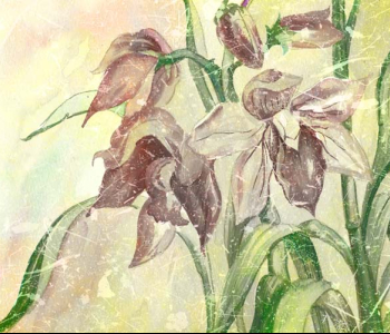 Цветы и растения - 140 | Wall-Style