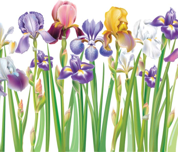 Цветы и растения - 21 | Wall-Style