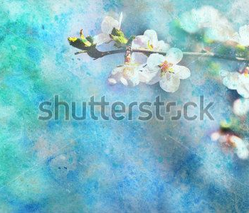 Арт - 339 | Wall-Style