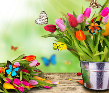 Цветы и растения - 64 | Wall-Style