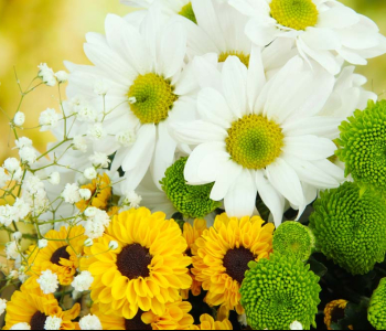 Цветы и растения - 16 | Wall-Style