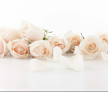 Цветы и растения - 151 | Wall-Style