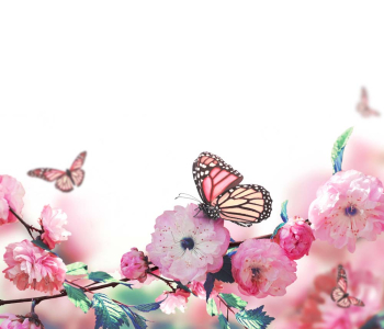 Цветы и растения - 67 | Wall-Style