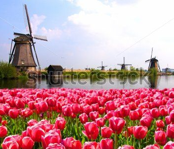 Архитектура - 228 | Wall-Style