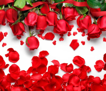 Цветы и растения - 189 | Wall-Style