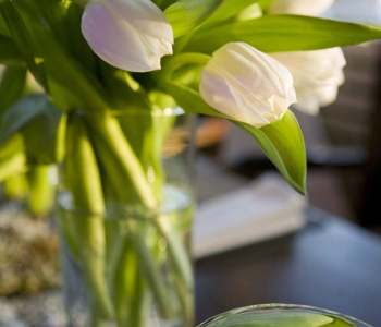 Цветы и растения - 20 | Wall-Style