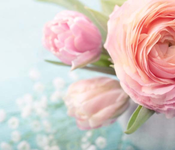 Цветы и растения - 59 | Wall-Style