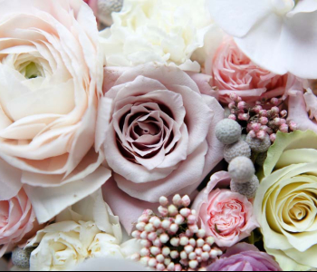 Цветы и растения - 12 | Wall-Style