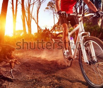 Спорт - 6 | Wall-Style