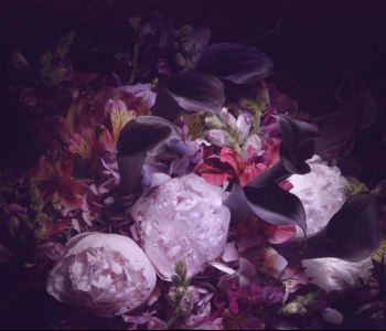 Цветы и растения - 36 | Wall-Style