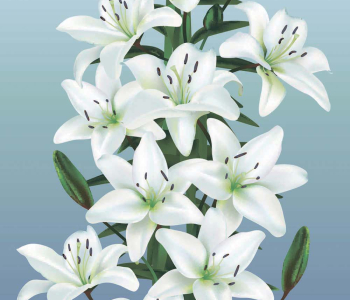 Цветы и растения - 61 | Wall-Style